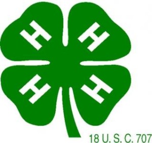 Cover photo for McDowell 4-H County Council