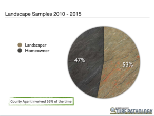Cover photo for What Happened in 2015? (Landscape Edition)