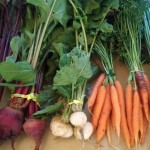 Assortment of fresh produce, carrots, beets, onions