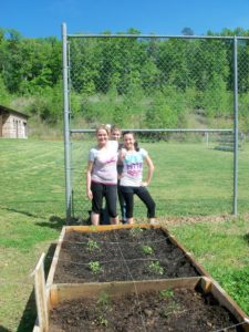 Cover photo for 4-H Mini Gardening Project