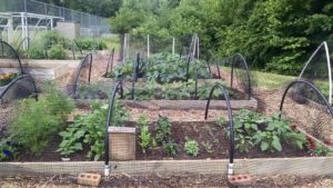 Cover photo for Community Garden for Community Good