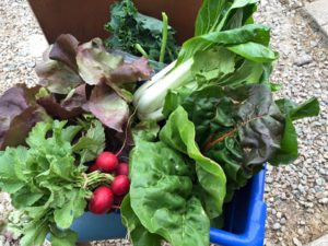 Cover photo for McDowell County Community Food & Health Hub