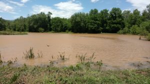 Image of flooding