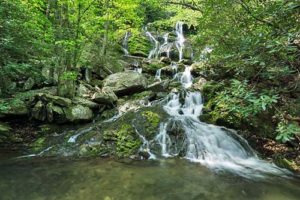 Catawba Falls