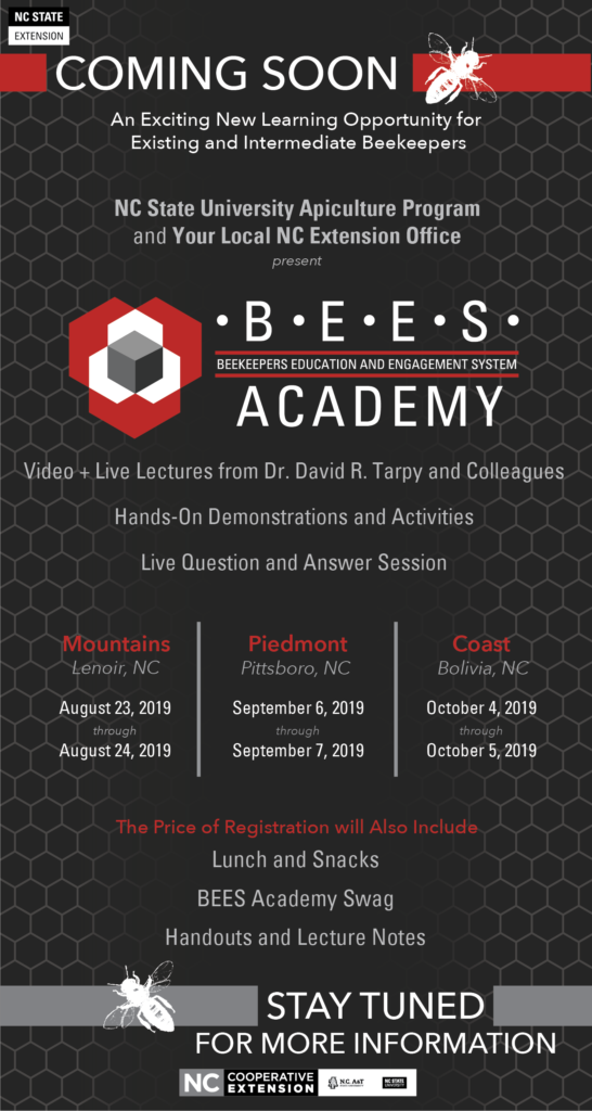 BEES Academy Marketing flyer