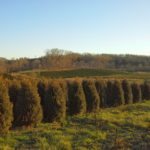 field nursery