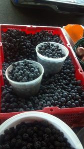 blueberries at the market