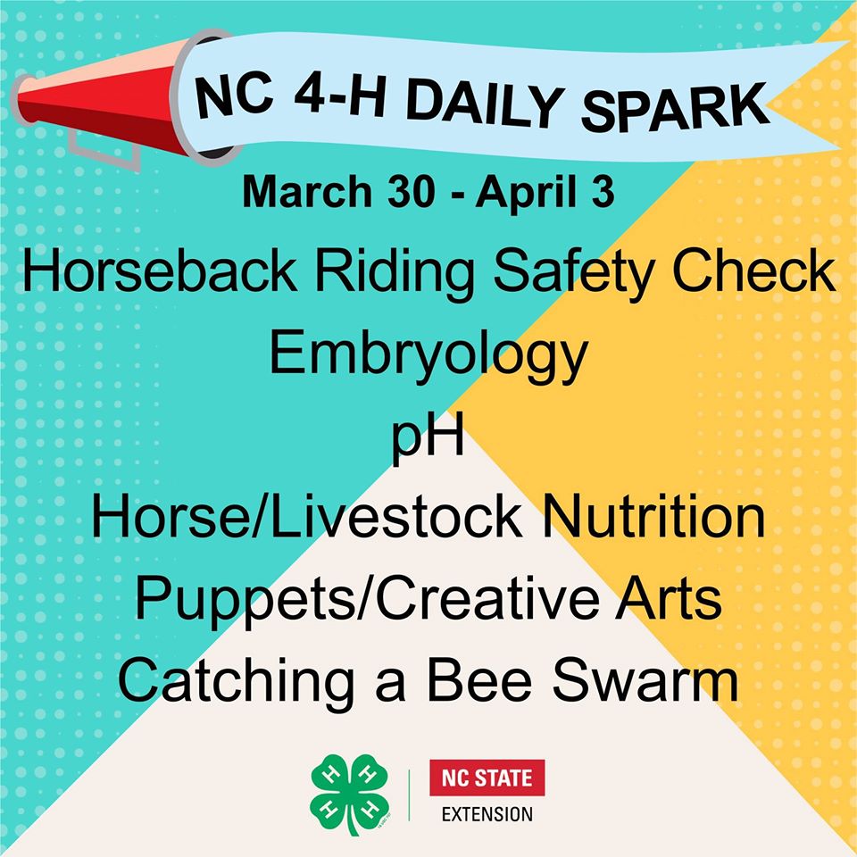 4-H Daily Spark flyer image