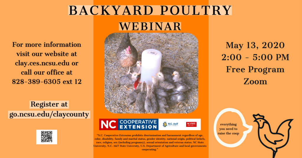 backyard poultry webinar poster
