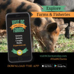 Visit NC Farms 