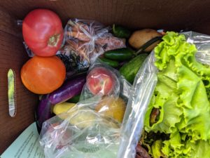 Foothills Food Hub CSA/fresh vegetables