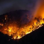 McDowell County wildfire