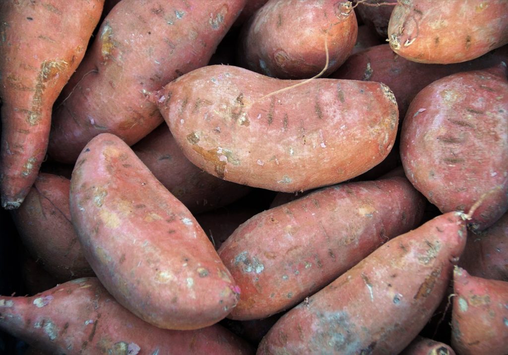 Spotlight On North Carolina s State Vegetable The Sweet Potato N C 