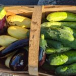 summer vegetables in a basket