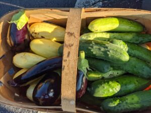 summer vegetables in a basket