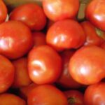 tomatoes