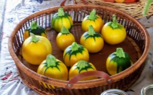 round squash variety