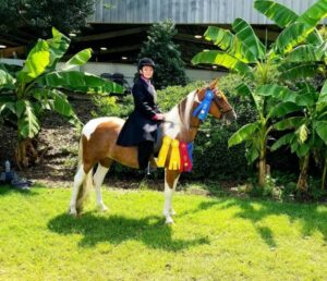 Cover photo for McDowell County 4-H'er Competes at NC 4-H State Horse Show