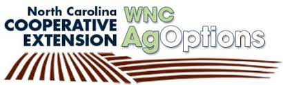 wnc agoptions logo