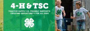 4-H Paper Clover Campaign