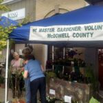 Master Gardeners selling plants