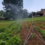 Tabernacle Garden