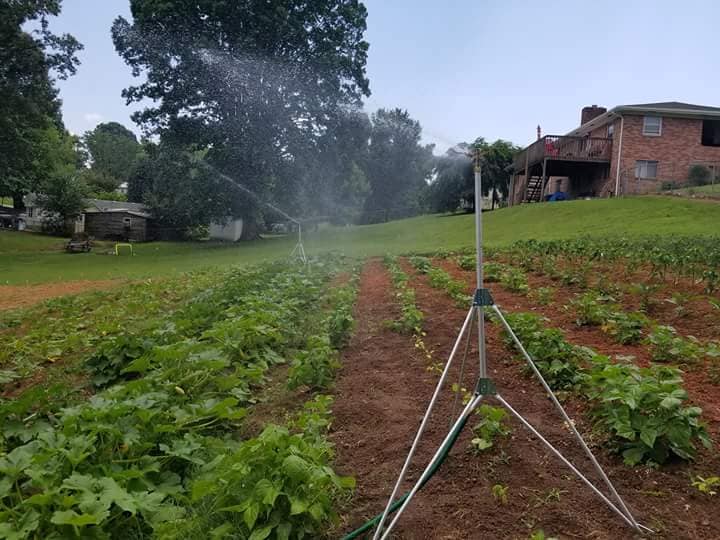 Tabernacle Garden