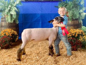 Youth showing livestock