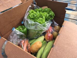 CSA box