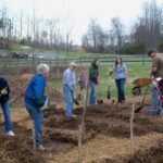 Master Gardener and other volunteers working on a community garden