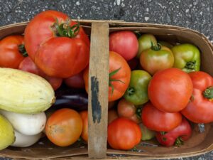 harvested produce in a basket