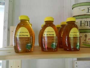 honey in bottles