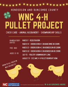 Cover photo for WNC Pullet Project