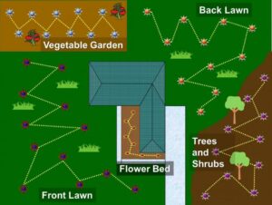 soil sample map