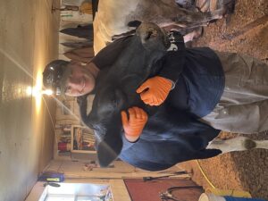 A young man hugging a cow.