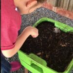 worm composting bin with youth