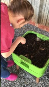 worm composting bin with youth