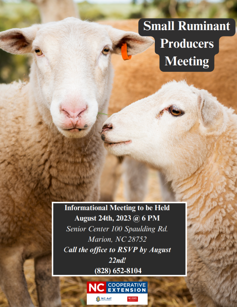 Small Ruminant Meeeting Flyer