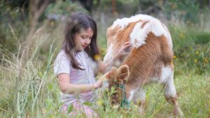 Girl with cow