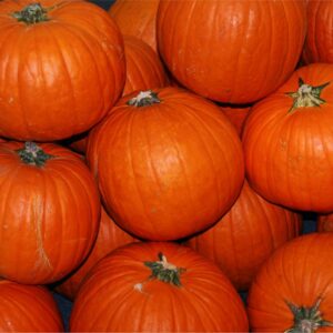 pile of deep orange pumpkins