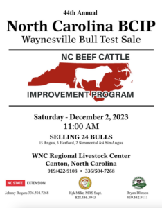 Cover photo for 2023 Waynesville Bull Test Sale
