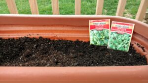 Spinach seed packet in a container with soil