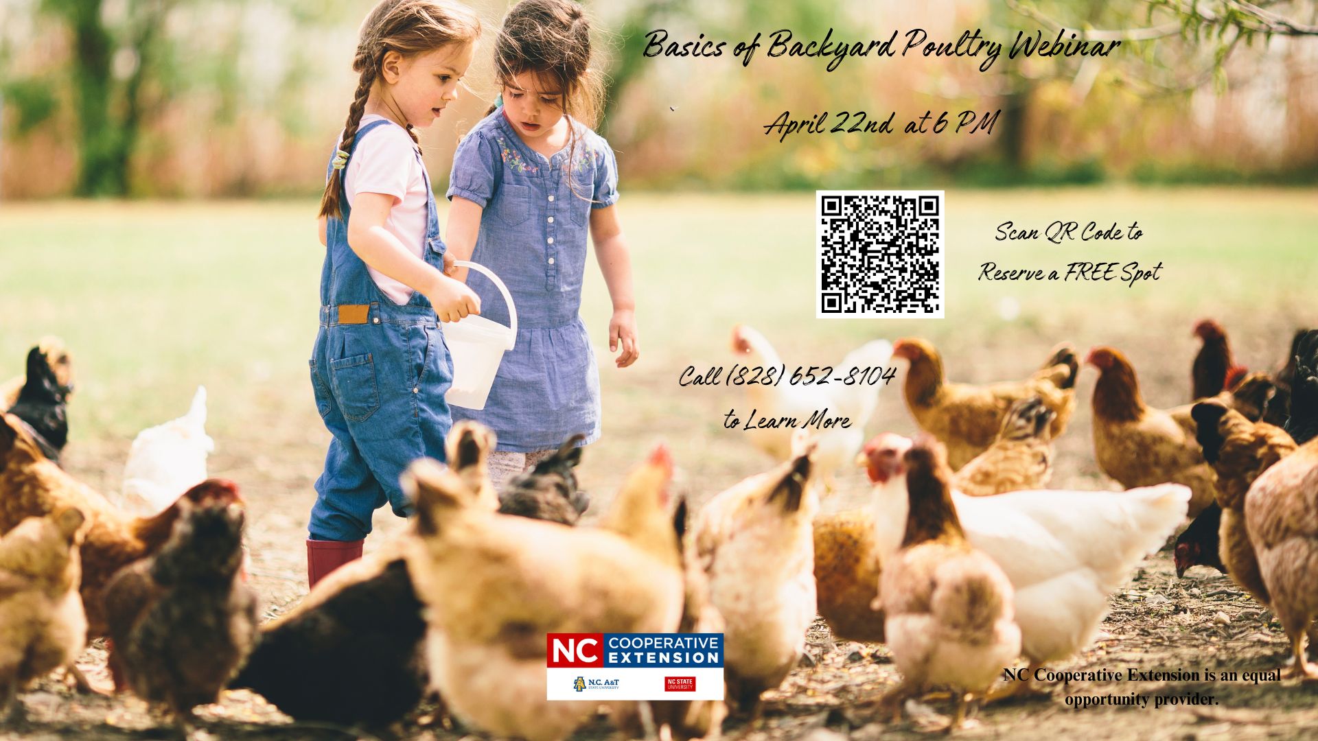 Basics of Backyard Poultry