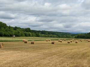 McDowell hay field