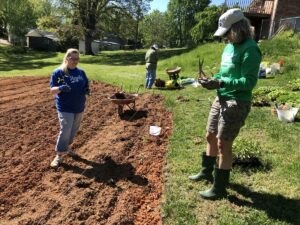 Molly and Niki planting