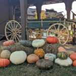 Display of decorative pumpkins